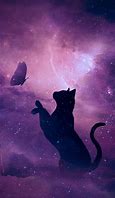Image result for Bangel and Black Cat Wallpaper Galaxy