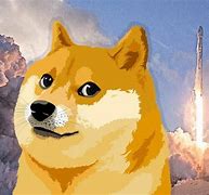 Image result for To the Moon Doge Meme
