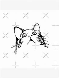Image result for Eyebrow Cat Meme