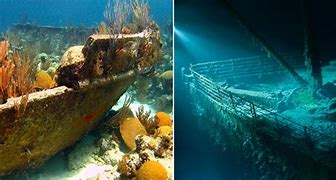 Image result for Reef From a Sunken Ship