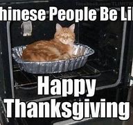 Image result for Thanksgiving Grumpy Cat Funny Memes