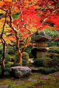 Pin by Pinner on PAISAJES DE OTOÑO | Japanese garden, Japanese garden design, Japan garden