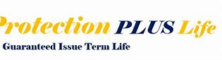 Image result for Protection Plus Logo