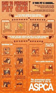 Image result for CPR Chart.pdf Veterinary