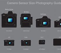 Image result for Medium Format Sensor Size