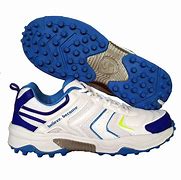 Image result for Indoor Cricket Shoes