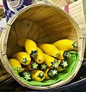 Image result for Local Grown Foods