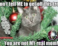 Image result for Cat Christmas Phrases