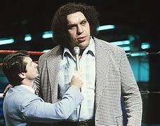 Image result for Andre Giant