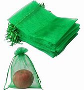 Image result for Fruit Bags for Fruit Trees