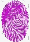Image result for Series X Fingerprint