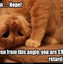 Image result for Cat Meme Desktop Wallpaper