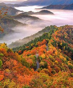 「おにゅう峠」は雲海×紅葉の絶景が見られる滋賀の秘境スポット | GENIC編集部 | GENIC｜ジェニック