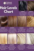 Image result for Hair Levels