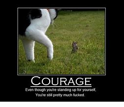 Image result for Courage as a Payment Meme
