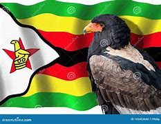Image result for Zimbabwe Bird Logo