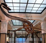 Image result for National Museum of Nature and Science