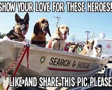 Image result for Search and Rescue Memes