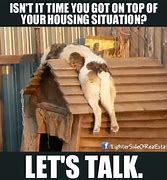 Image result for Real Estate Cat Meme