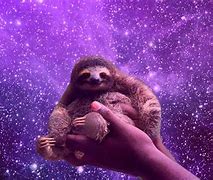 Image result for Sloth Backround in Space