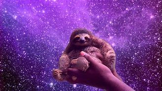 Image result for Sloth Astronaut Wallpaper