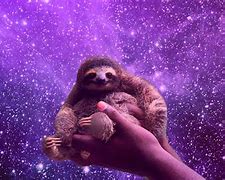 Image result for Galaxy Sloth Icon