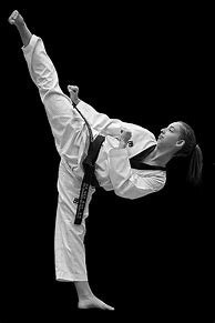 Image result for Taekwondo Kick Lady