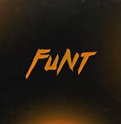 Image result for funt