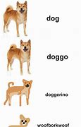 Image result for Amaze Doggo Memes