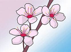 Image result for Japanese Cherry Blossom Drawing Simple