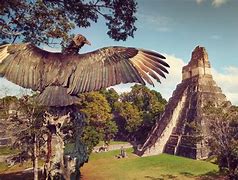 Image result for Spirit Form Tikal