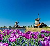Image result for Images of the Netherlands