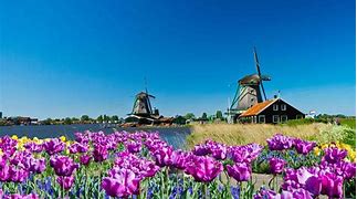 Image result for Netherlands Natural