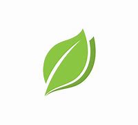 Image result for Tree Leaf Logo