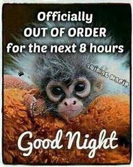 Image result for Good Night Everyone Funny