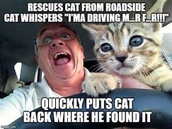 Image result for Cat Harvest Rescue Meme