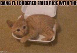 Image result for Funny Forgot to Cook