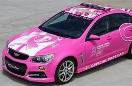 Image result for Diecast NASCAR Pace Car