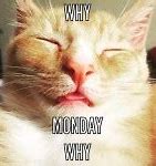 Image result for Happy Monday Afternoon Meme
