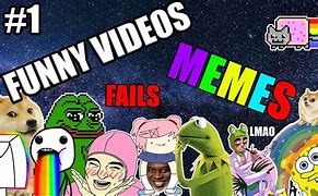 Image result for Funny Videos Memes 2019