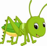 Image result for Cricket Animal