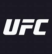 Image result for UFC Ultimate Fighting Championship