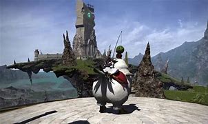 Image result for Fat Chocobo FFXIV