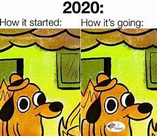 Image result for Funny Memes 2020 Cartoon