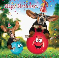 Image result for Funny Dog Birthday Cards