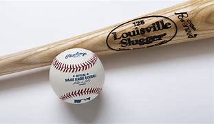 Image result for Major League Baseball Bats
