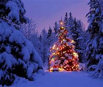 Image result for Holiday Wallpapers