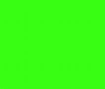 Image result for Neon Lime Green Color