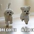 Image result for Happy Coffee Meme