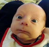 Image result for Surprised Baby Face Meme
